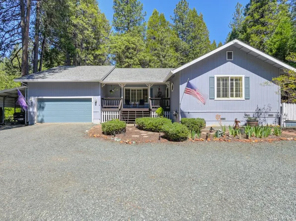 20000 Circle View Dr, Pioneer, CA 95666