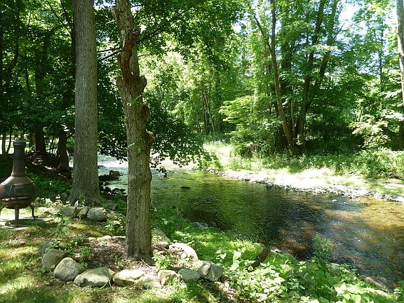 Trout Stream in Backyard