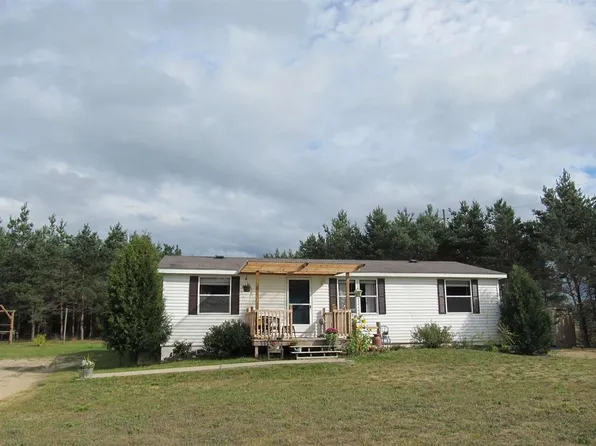 88 Townline Rd, Pellston, MI 49769