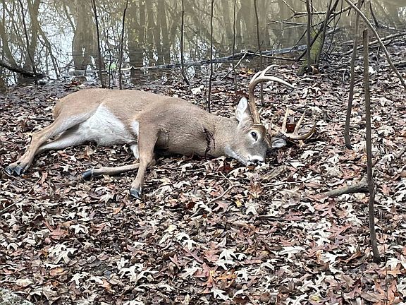 3rd image of Tbd Jones Rd