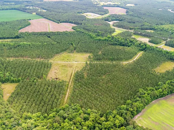 3230 Dows Rd, Loris, SC 29569