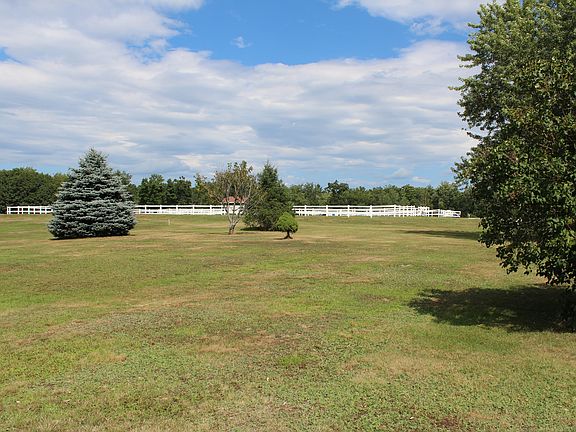 Back Yard View