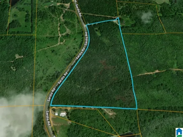 0 Bluff Springs Rd #X, Ashland, AL 36251
