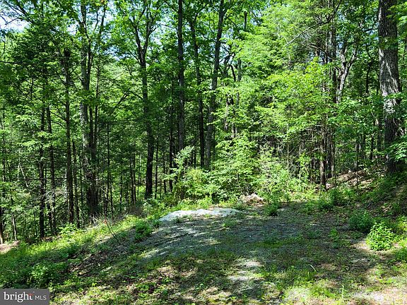 4th image of 29 Bluff Trl