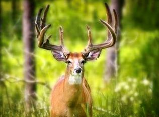 5328 Ivy Creek Rd, Rutledge, AL 36071