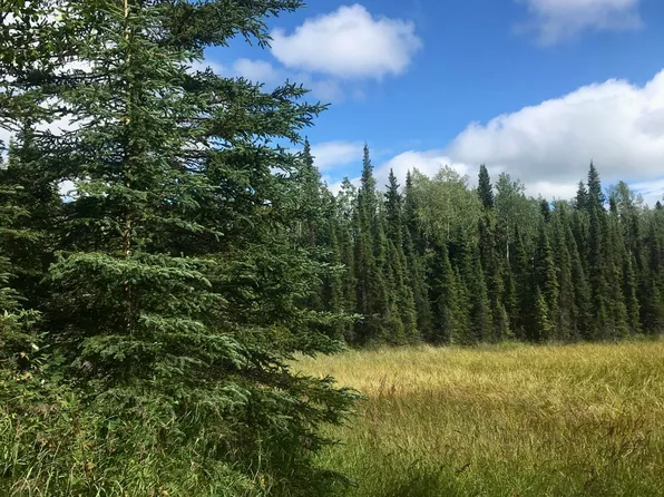 50640 Byington Rd, Kasilof, AK 99610