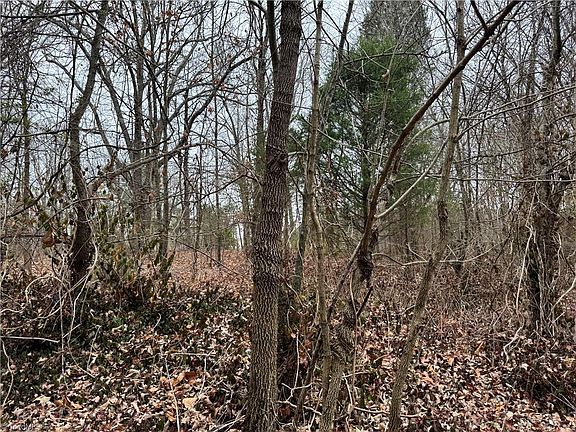3rd image of 0 Trading Ford Way Lot 50-17