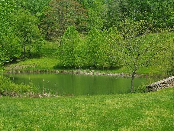 Pond