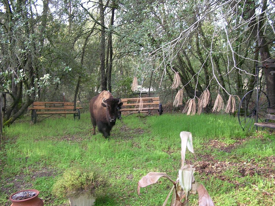 some of the neighbors