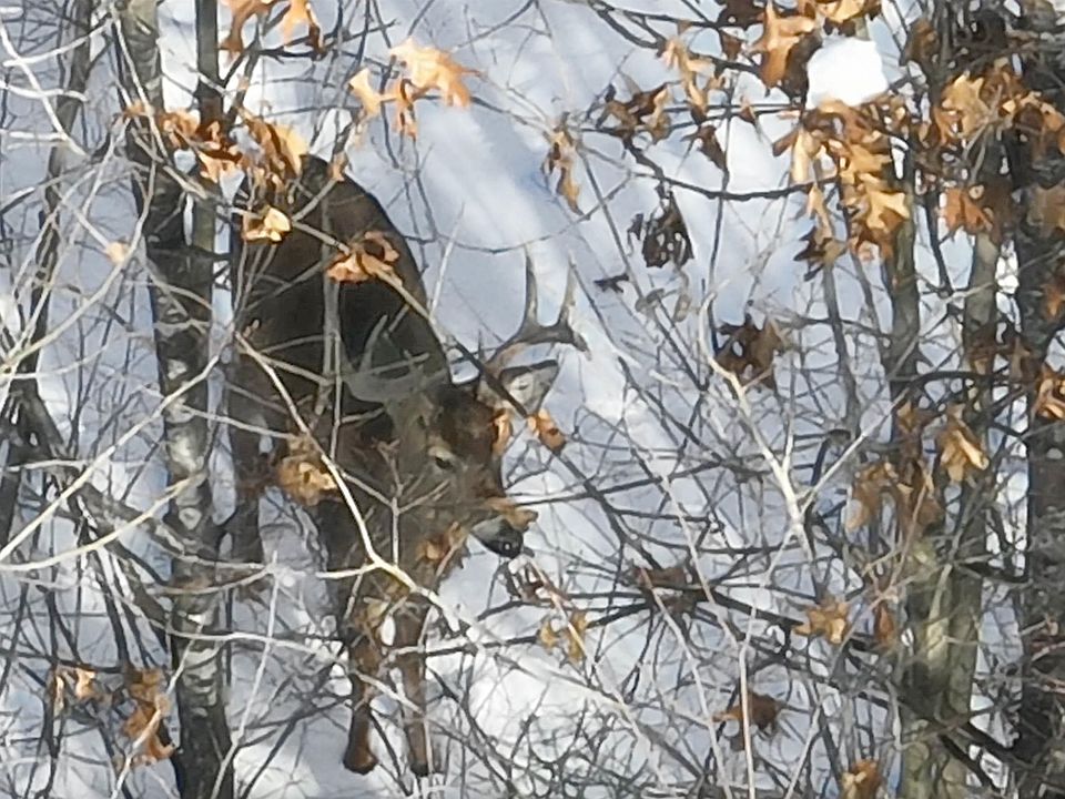 1st image of Deerborn Dr