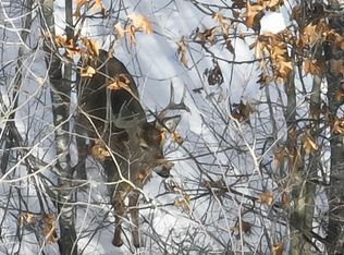 Deerborn Dr, Friendship, WI 53934
