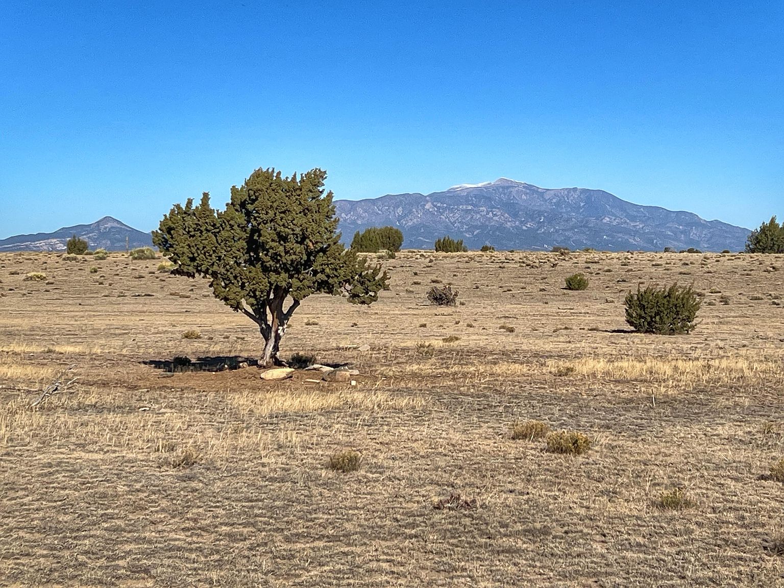 Rio Cucharas PENTHOUSE 1121, Walsenburg, CO 81089 MLS 231209 Zillow