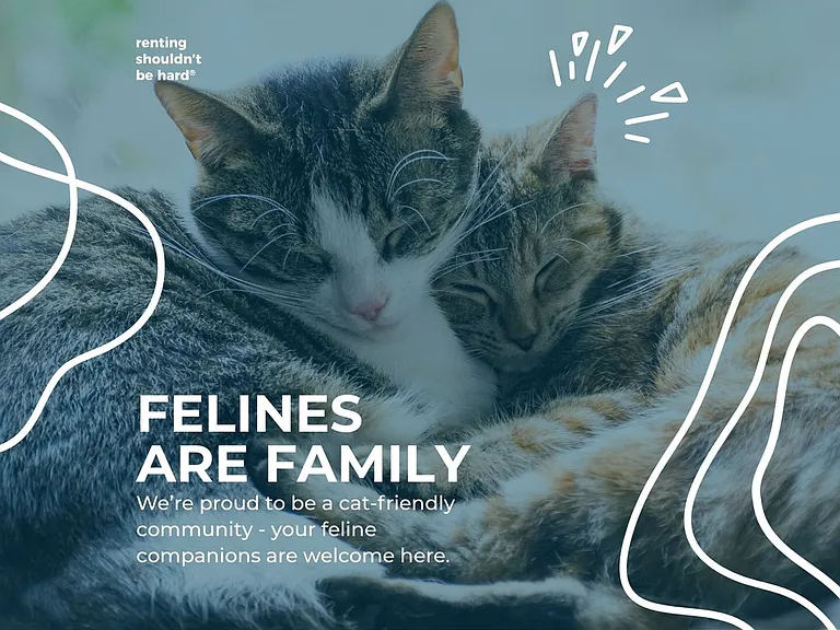 Cat Friendly