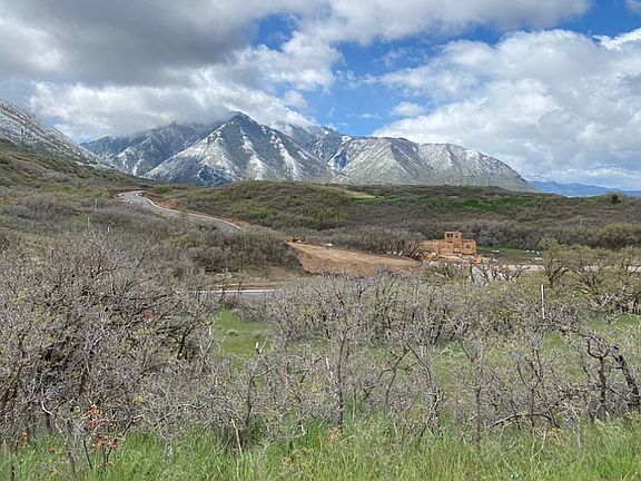 View from back of lot