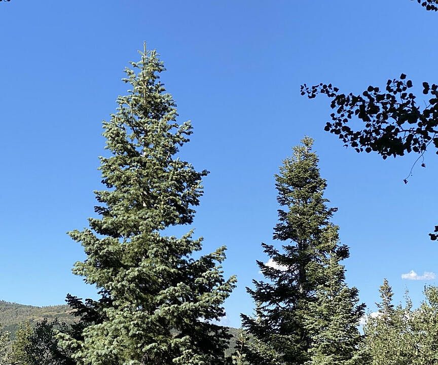 1st image of 741 W Forgotten Ln #Fm-d-96