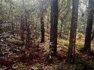 4563 South Island Rd., Georgetown, SC 29440