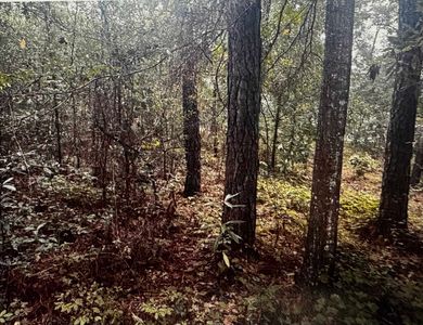 4563 South Island Rd., Georgetown, SC, 29440