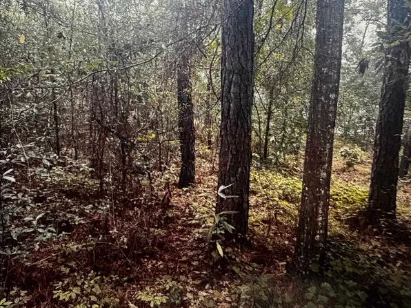 4563 South Island Rd., Georgetown, SC 29440