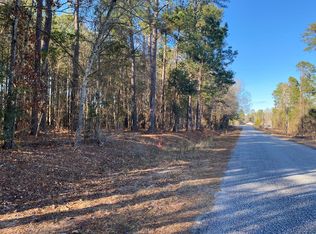 1234 Krissy St, Summerton, SC 29148