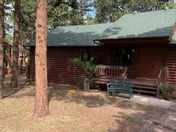 769 Log Haven Dr, Woodland Park, CO 80863