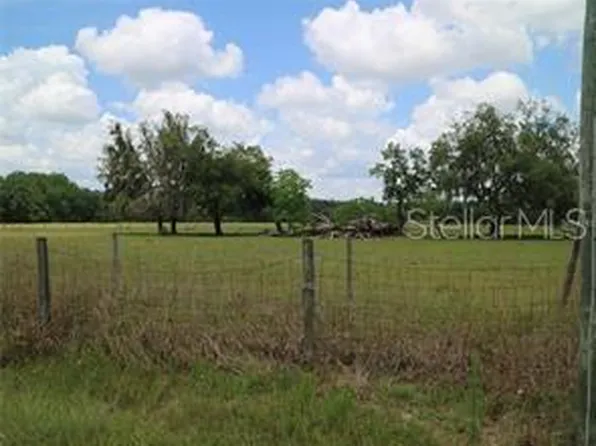 11819 Tarpon Springs Rd, Odessa, FL 33556