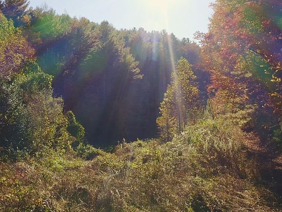 5th image of 410 Seay Hollow Rd Lot Del