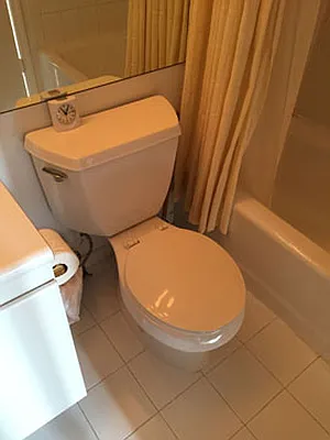 Rented by Carol Quatrone | media 34