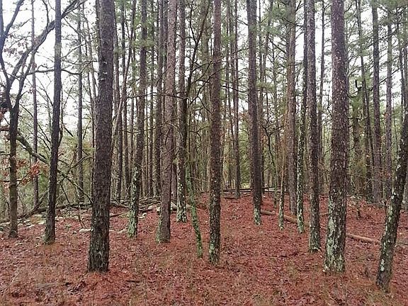 2nd image of Kiamichi Wilderness Lot 34