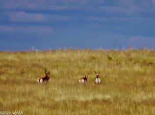 Arizona Rancheros 118 Lots #3 & 2, Holbrook, AZ 86025