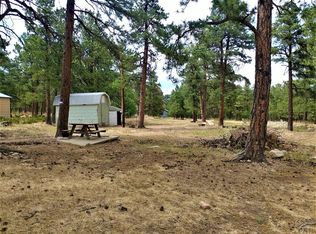 8137 S Oak Dr, Rye, CO 81069