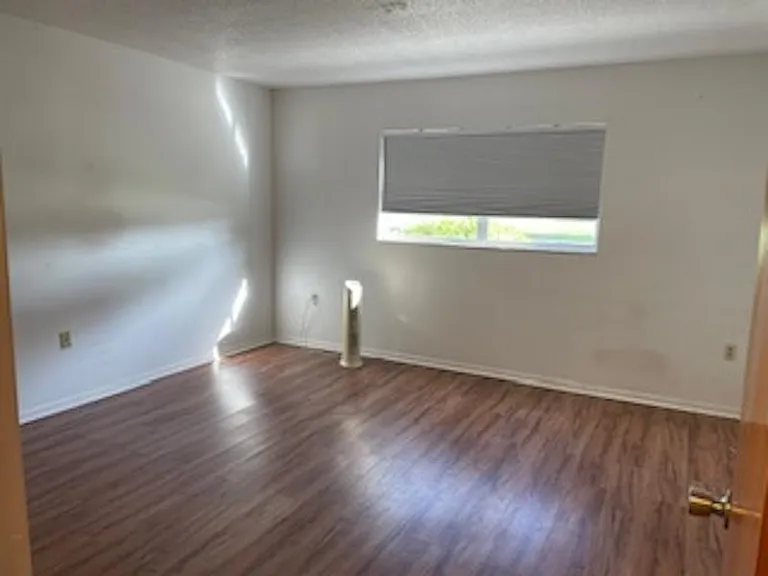 Spacious primary bedroom with walk in closet.