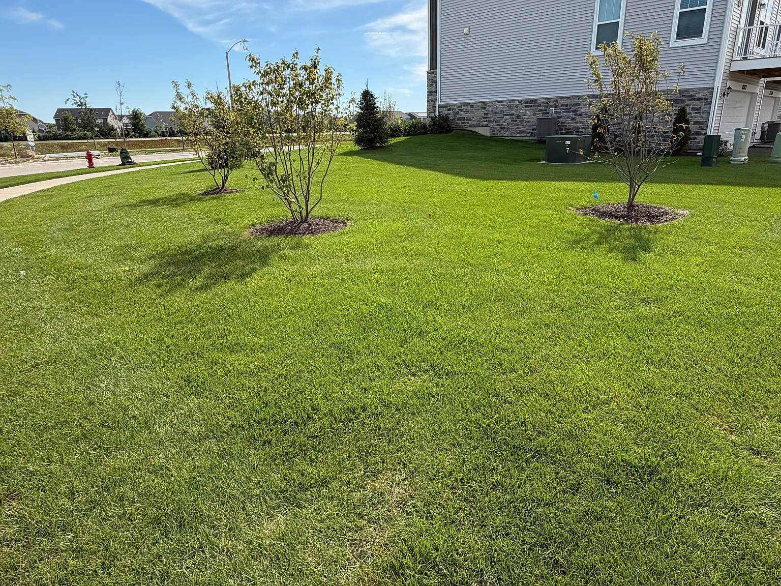 3 bed, 2.5 bath, 1894 sqft, $2,800 — Photo 2