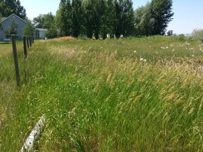 117 N 1 W, Teton, ID, 83451