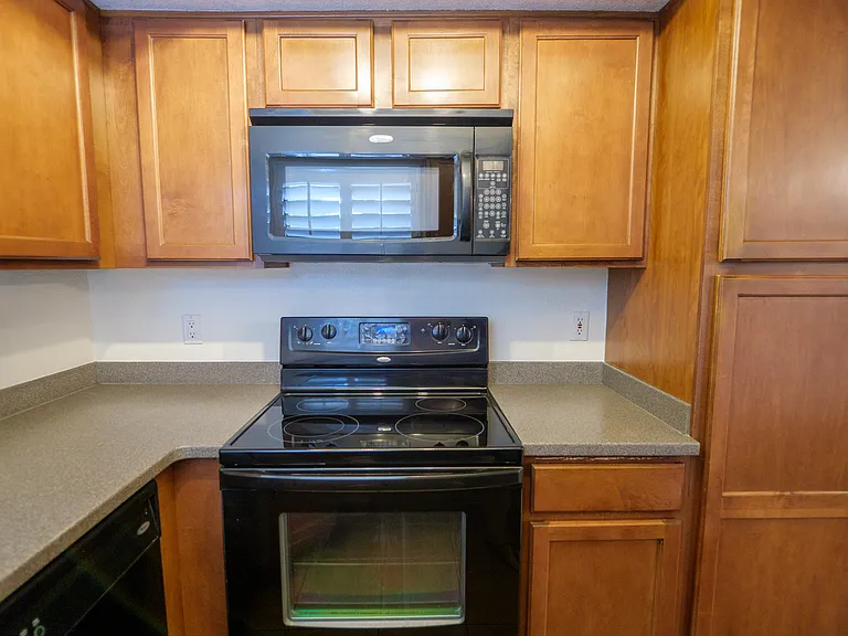 5855 N Kolb Rd #3105 — Photo 9