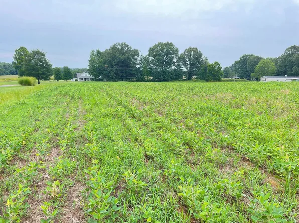 151 Concord Cades Rd, Milan, TN 38358