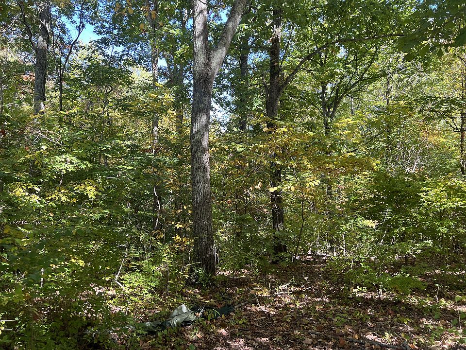 2nd image of 214 Old Sams Creek Rd Lot 214