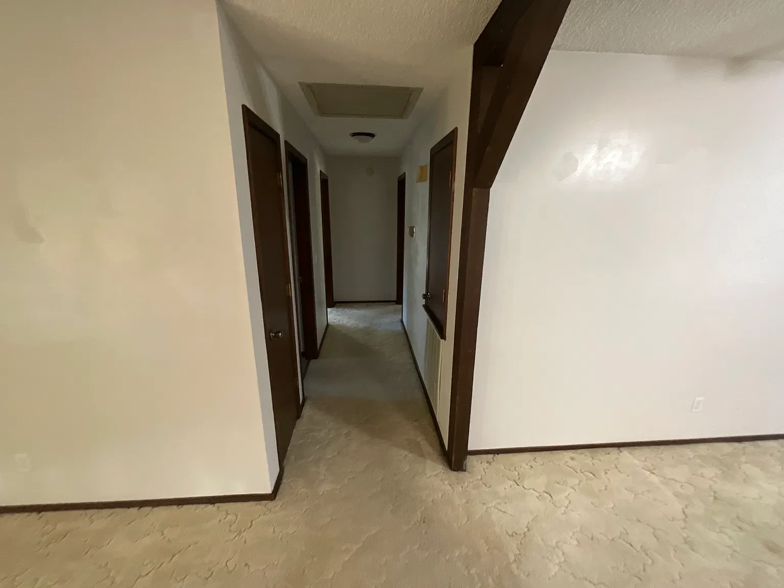 2 bed, 1262 sqft, $1,200 — Photo 3
