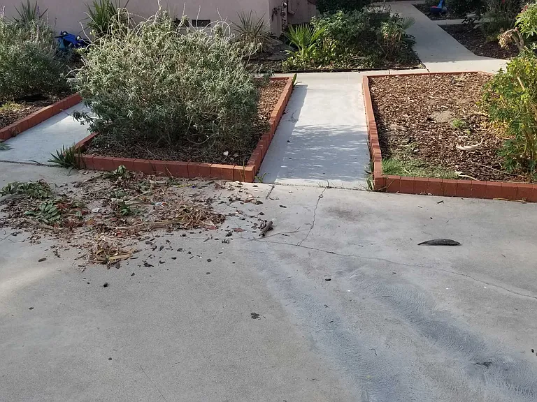 Haynes St — Photo 6