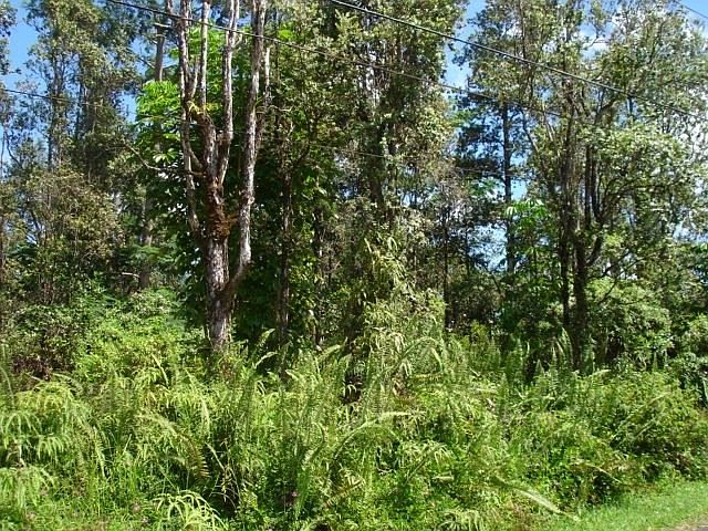 2nd image of Ohia Dr Lot 17