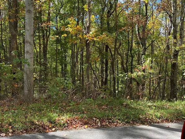 Tbd Stinson Rdg, Jewell Ridge, VA 24622