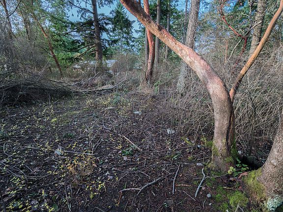 5th image of 0 Madrona Way