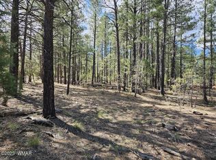 3621 W Falling Leaf Rd, Show Low, AZ 85901
