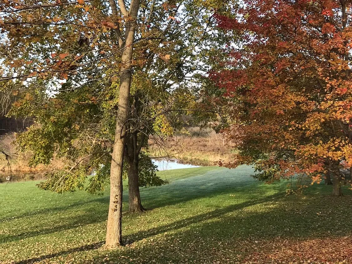 2 bed, 2434 sqft, $1,800 — Photo 3