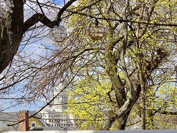 State house views from the balcony 