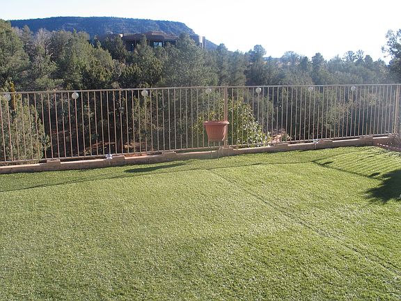 "Synlawn" Back Yard