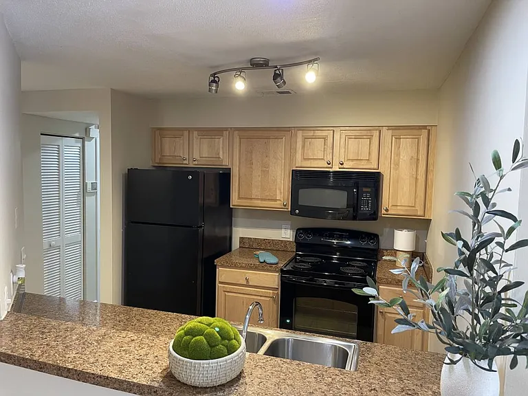 208 S Habana Ave — Photo 20