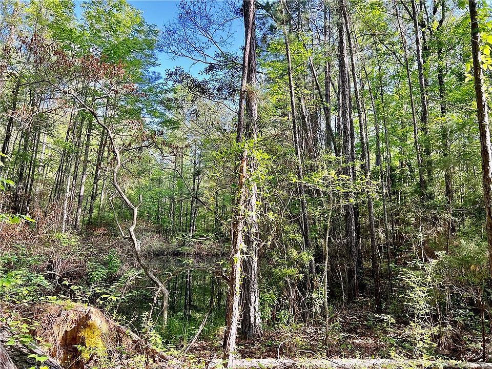 2nd image of 229 Pinehill Rd