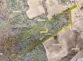 Langston Rd, Timmonsville, SC 29161