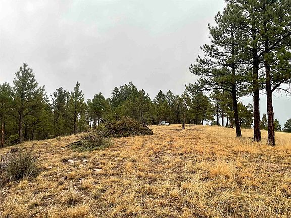 4th image of 11562 Red Canyon Rd