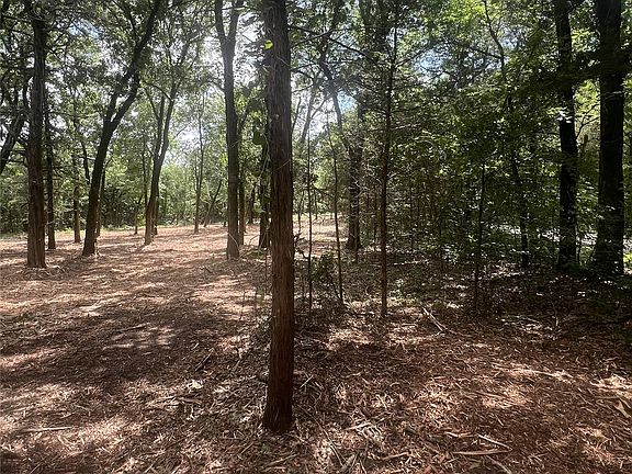 4th image of 0 County Road 2980